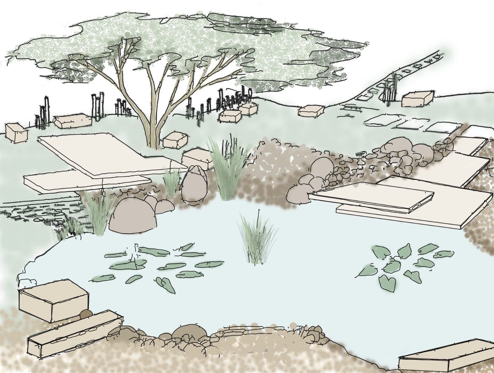 Diseño de los senderos y rincones de descanso que tendrán los parques del bosque