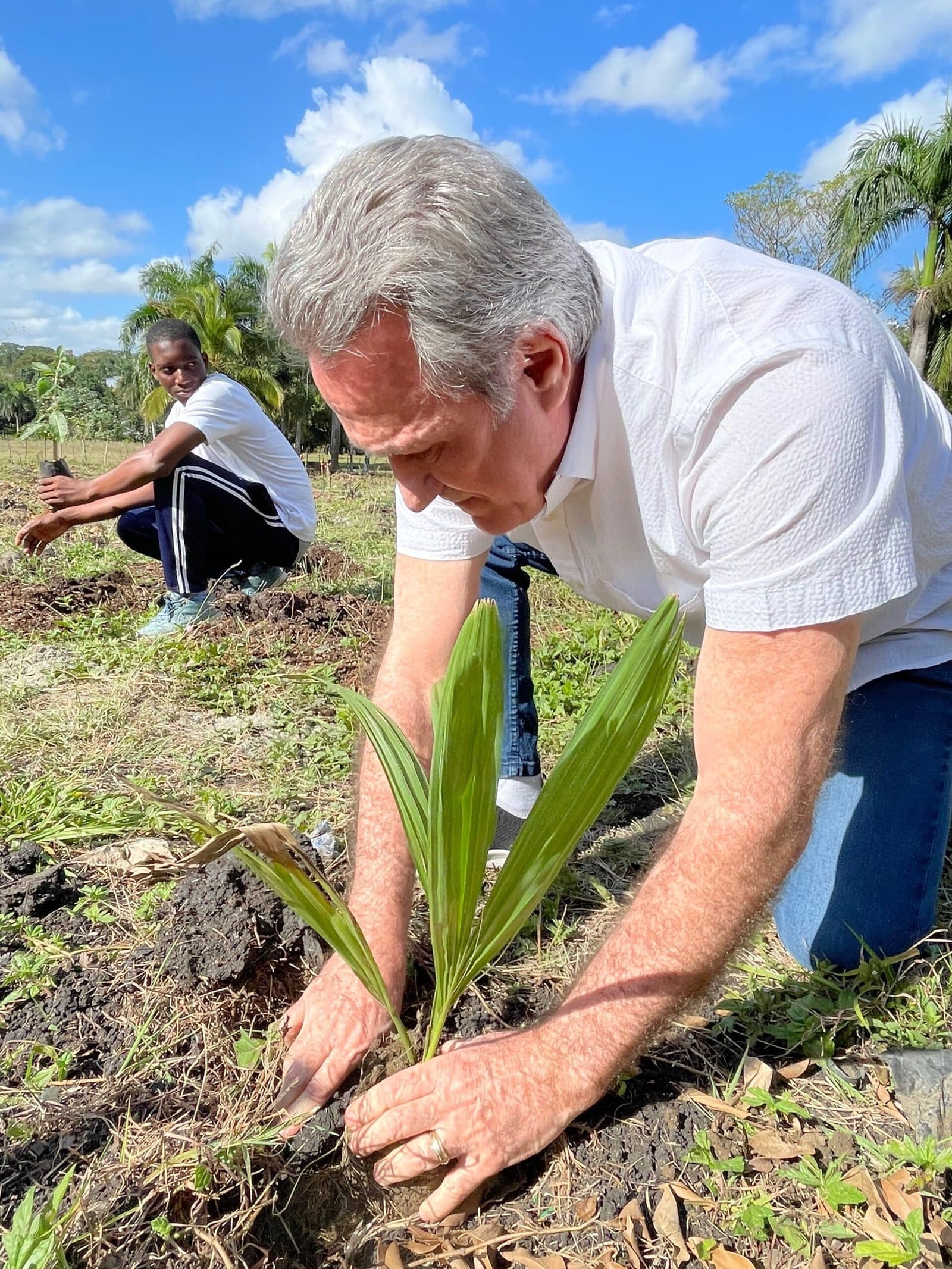 Cada árbol se planta a mano